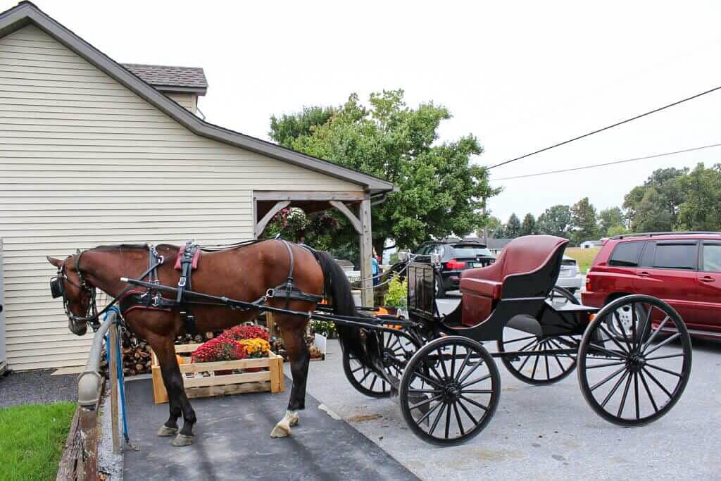 A horse and buggy parked outside the farm market