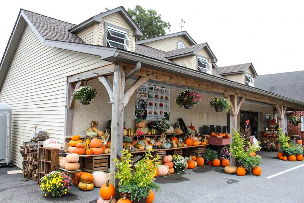 The farm market decked out for fall with pumpkins, gourds, and hanging flower baskets